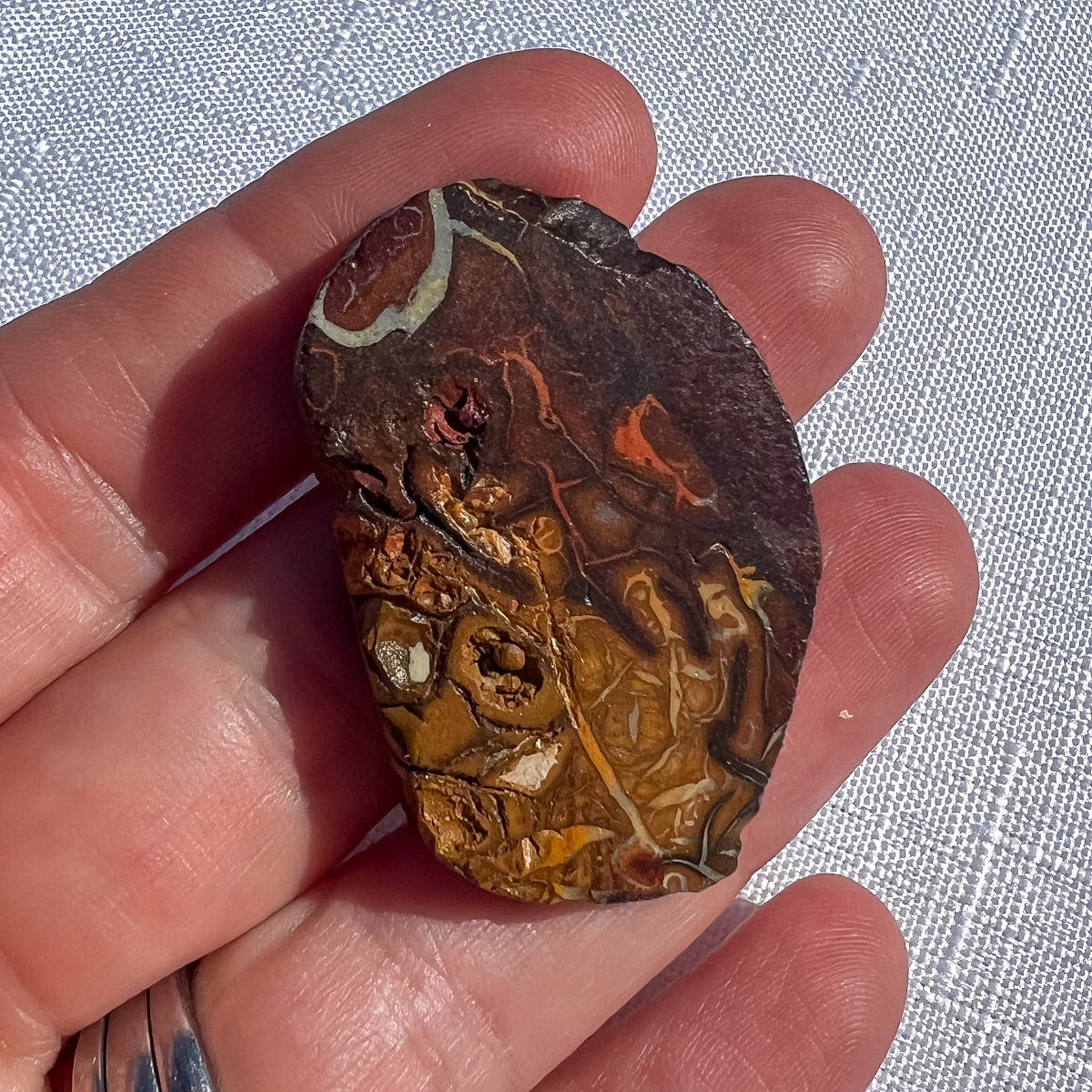 Oval Queensland boulder opal specimen with brown and golden ochre patterns and pale seams, measuring 40 × 25 × 10 mm