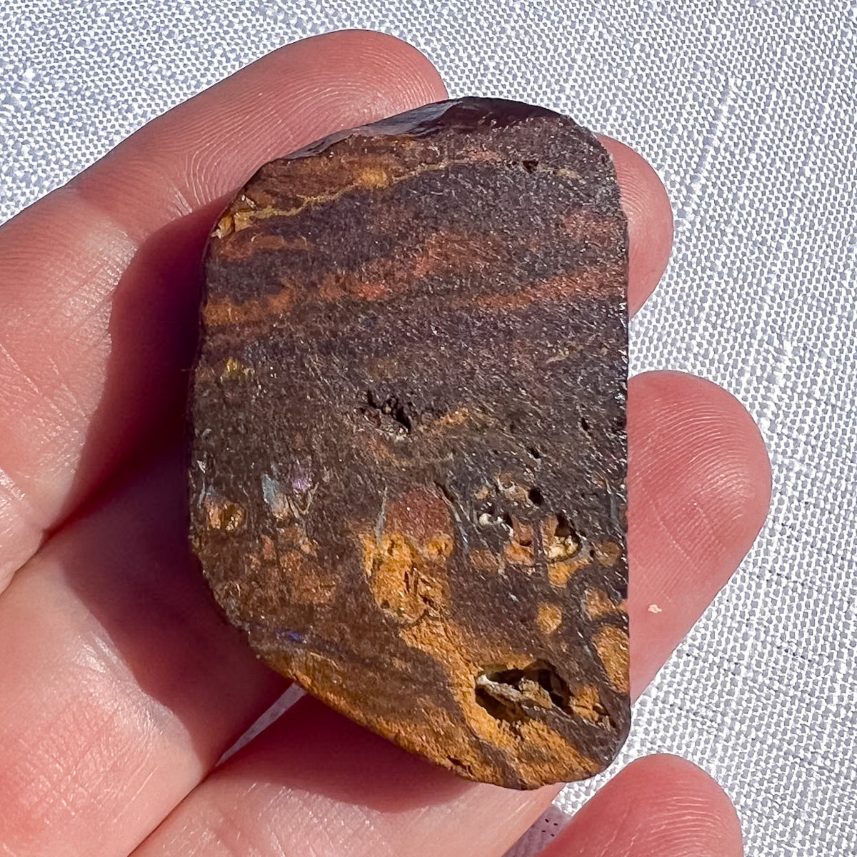 Queensland boulder opal rough specimen with deep brown and golden ochre markings and natural cavities, measuring 40 × 25 × 8 mm