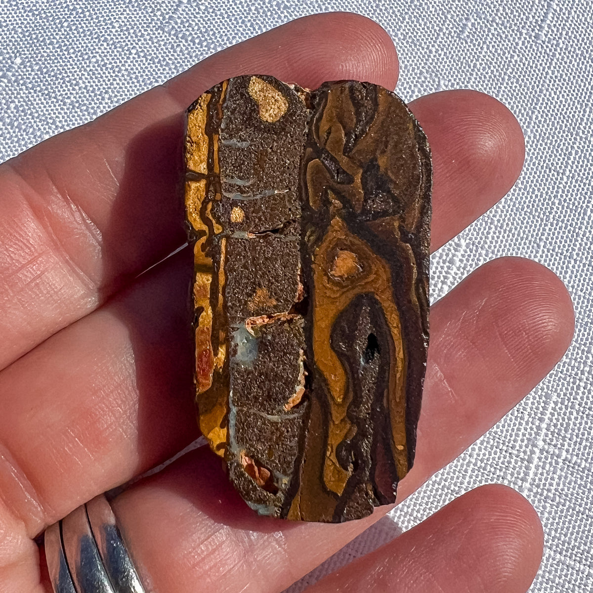 Elongated Queensland boulder opal specimen with deep brown and golden ochre patterns, held in a hand for scale