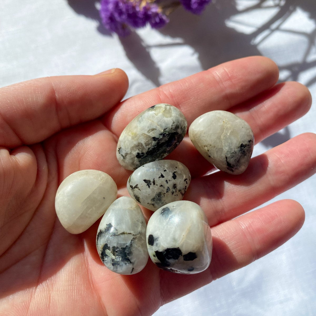 Rainbow Moonstone Tumbled Stones | Medium