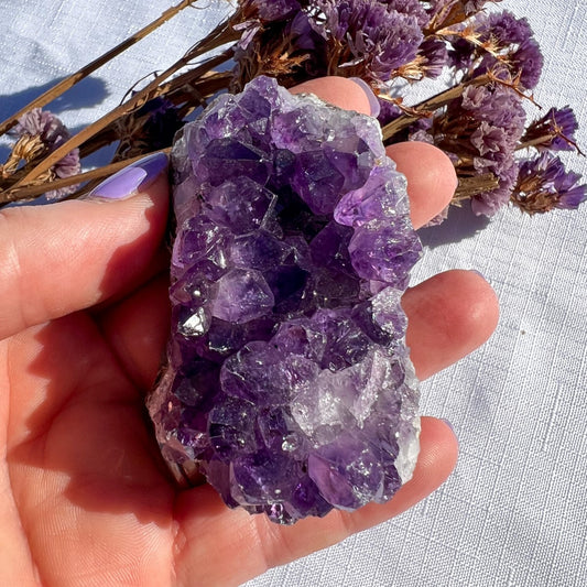 Amethyst Cluster  Medium +
