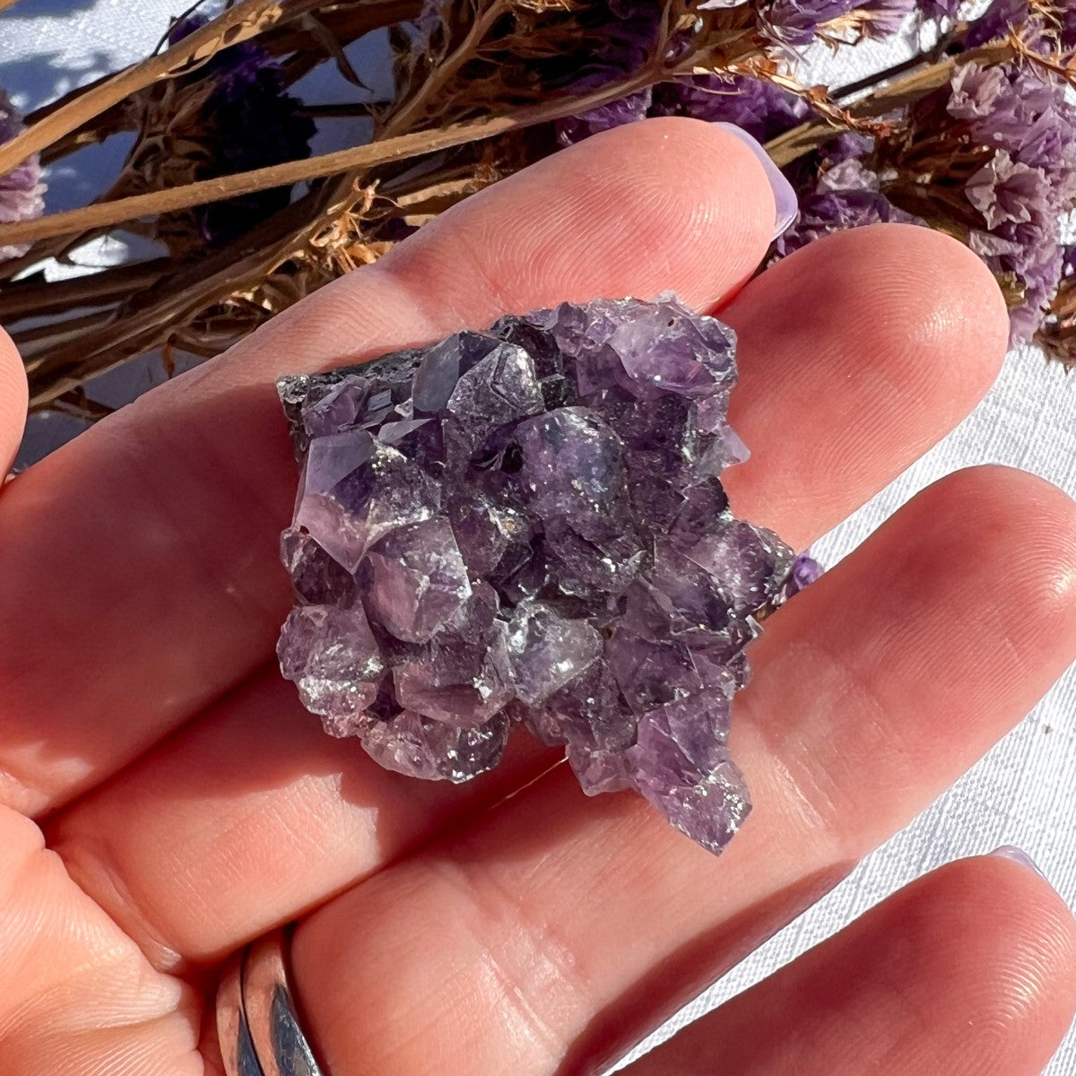 Amethyst Cluster  Mini