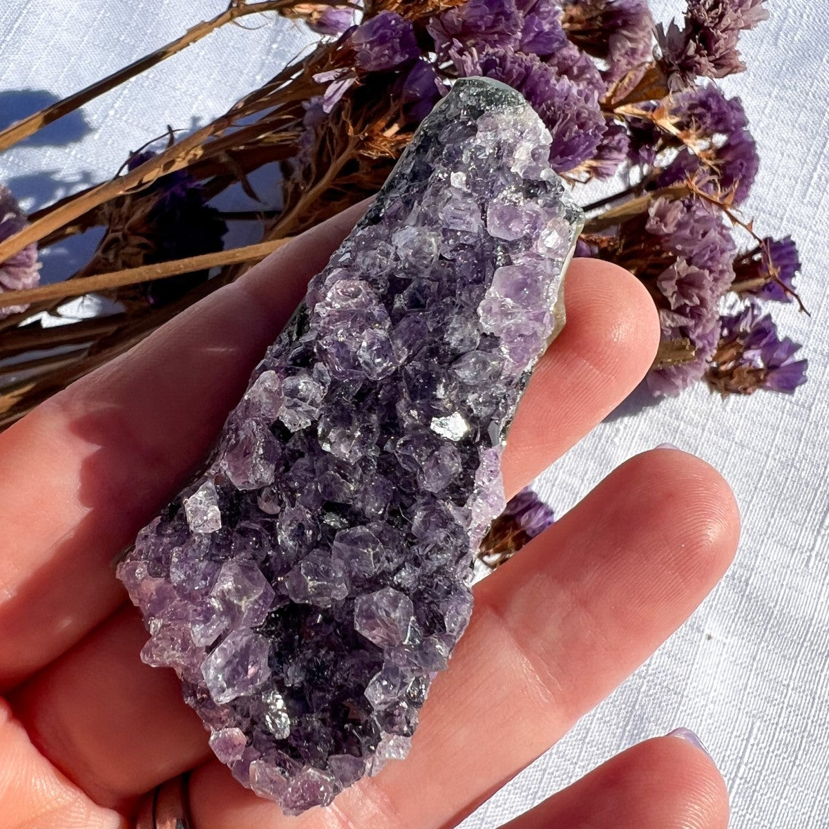 Amethyst Cluster | Mini +