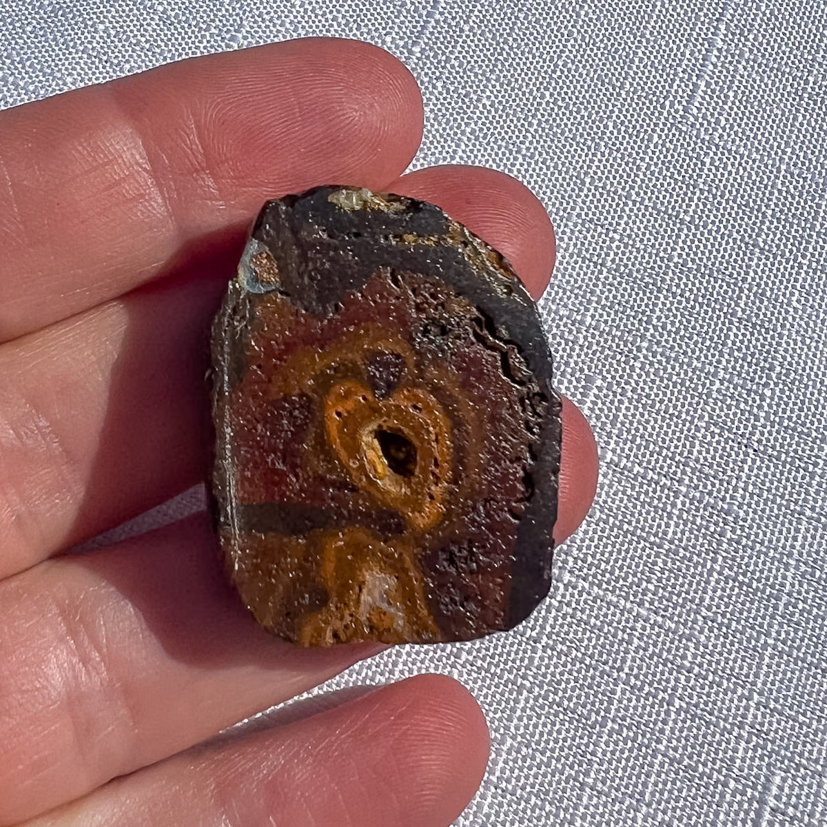Queensland boulder opal rough specimen with golden-brown centre, small central cavity and dark edges, 33 × 26 × 8 mm, SKU 1455