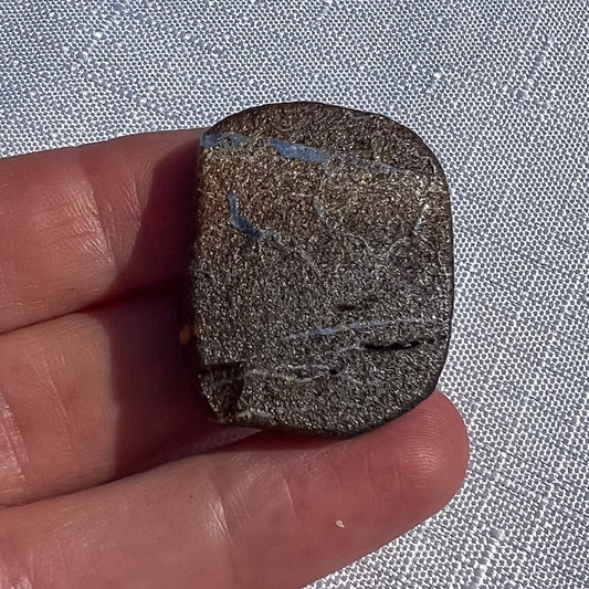 Queensland boulder opal rough specimen with textured dark brown surface and blue-grey seams, 32 × 26 × 4 mm, SKU 1454