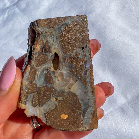 Queensland Boulder Opal - Rough