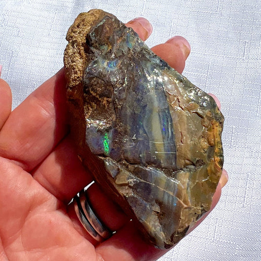 Queensland Boulder Opal - Rough