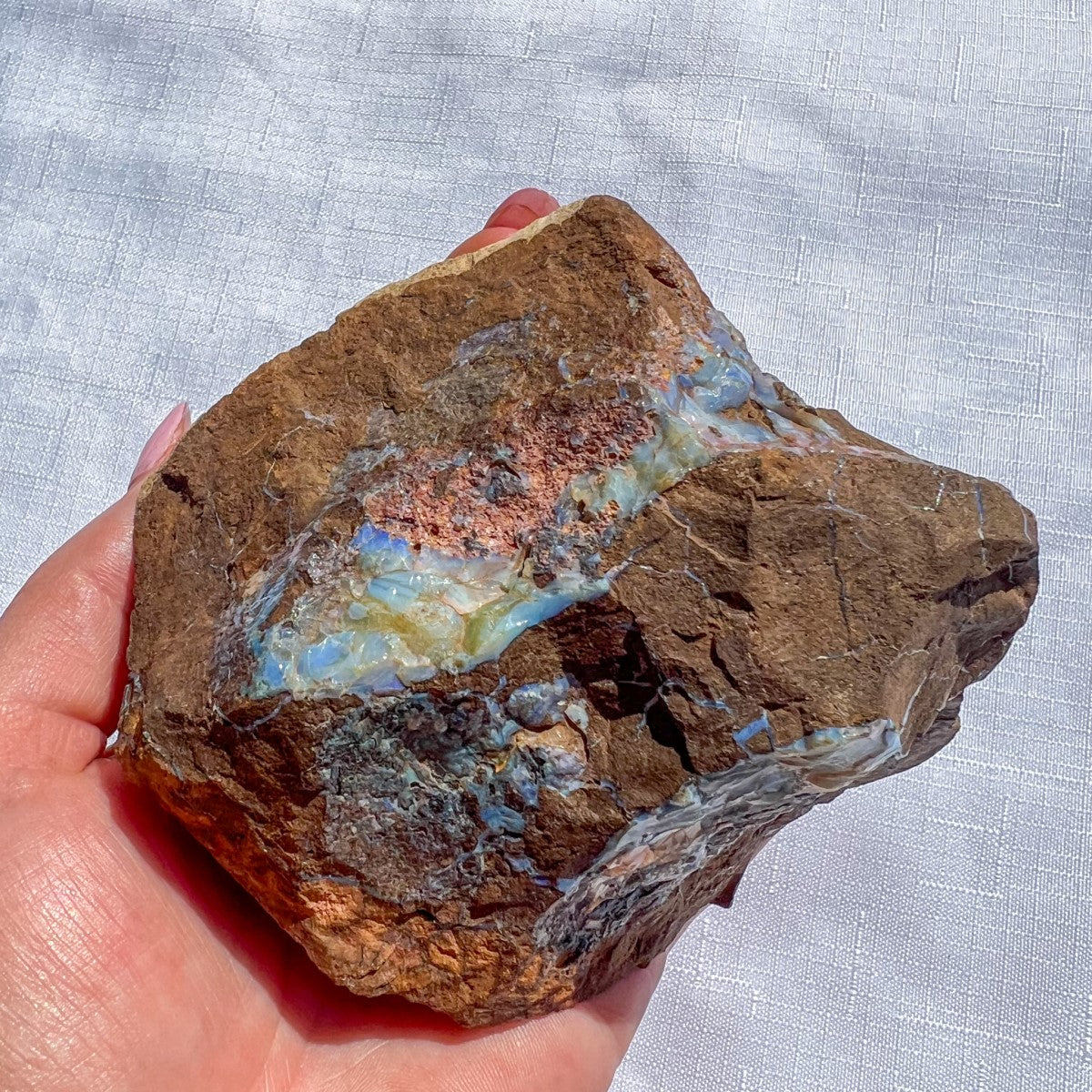 Queensland Boulder Opal - Rough