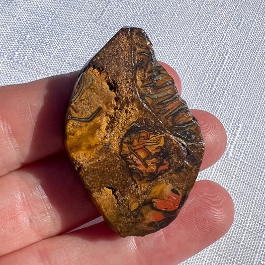 Queensland boulder opal rough specimen with ochre and rust-orange patches and dark brown winding bands, held in a hand