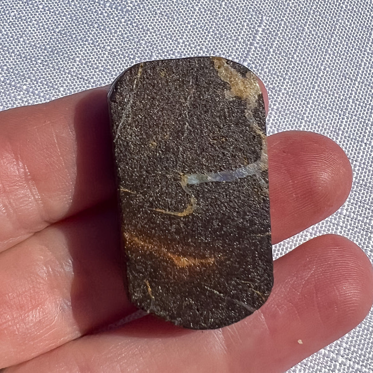 Queensland boulder opal rough specimen with dark brown textured face and pale blue-grey seam, 36 × 21 × 8 mm, SKU 1456