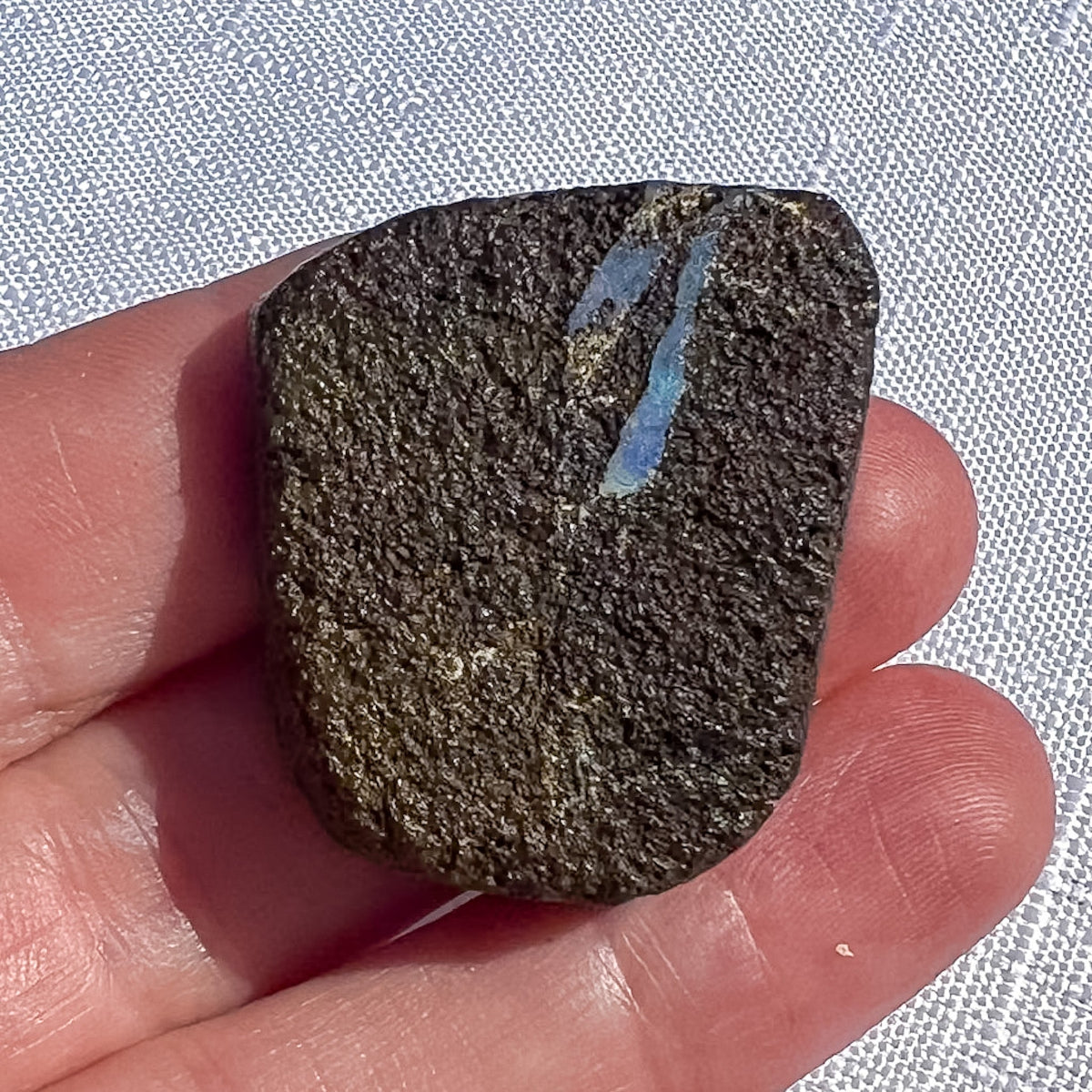 Queensland boulder opal rough specimen with a dark brown patterned surface and blue-grey seams, measuring 32 × 27 × 8 mm