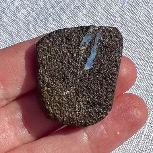 Queensland boulder opal rough specimen with a dark brown patterned surface and blue-grey seams, measuring 32 × 27 × 8 mm