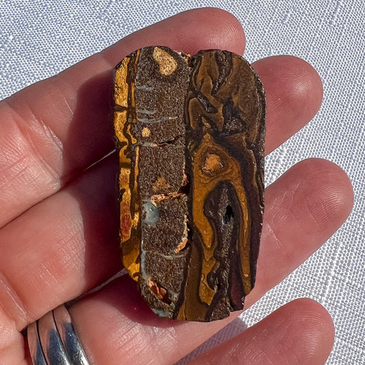 Elongated Queensland boulder opal specimen with deep brown and golden ochre patterns, held in a hand for scale