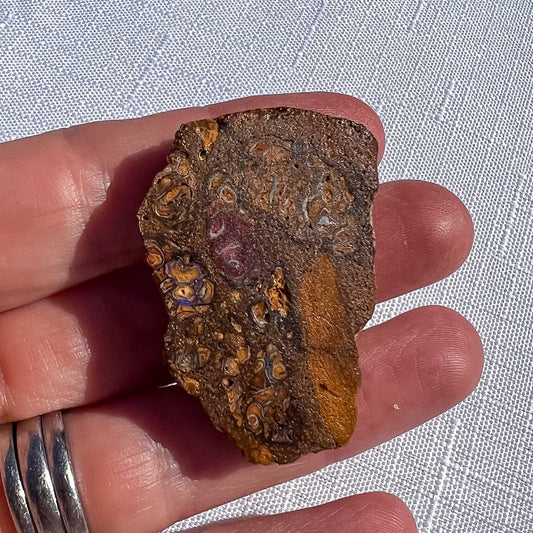 Queensland boulder opal specimen with brown and ochre patterns and small blue-violet highlights, held in a hand for scale
