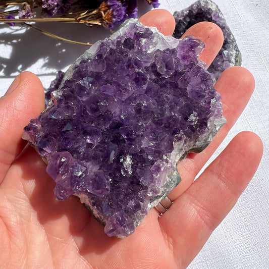 Amethyst Cluster | Medium