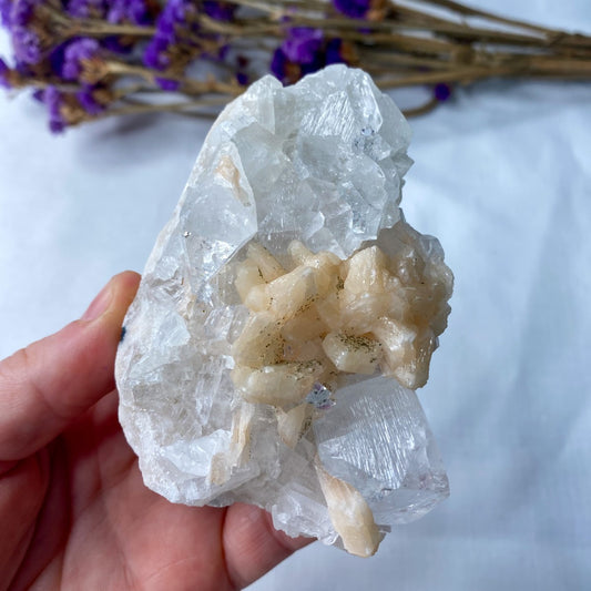 Apophyllite & Zeolite Cluster #2