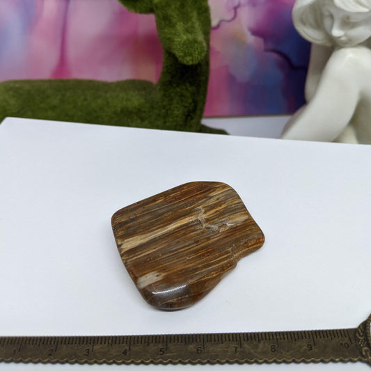 Australian Opalised Petrified Wood  Polished