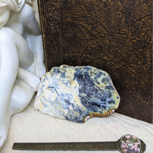 Dendritic Opal Slice