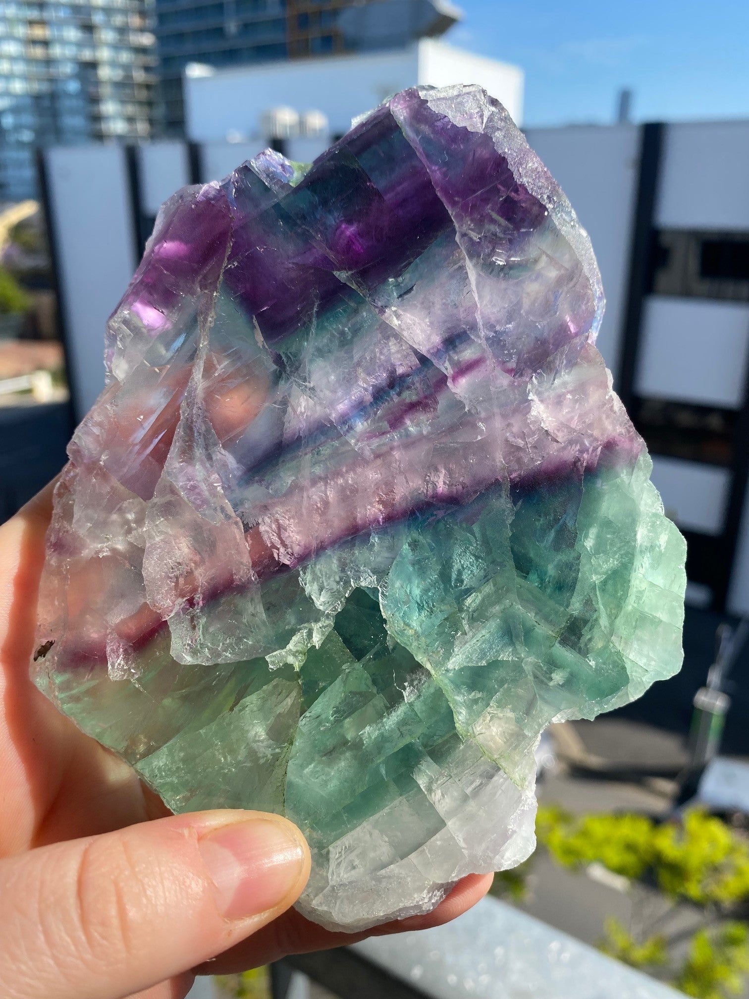 Green and Purple Fluorite Slice