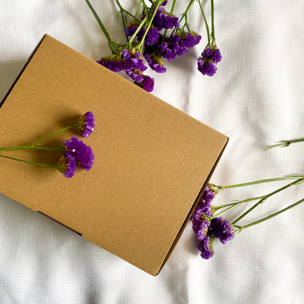 Mel's Surprise Mystery Box