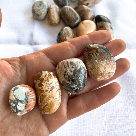 Maligano Jasper Tumbled Stones | Medium