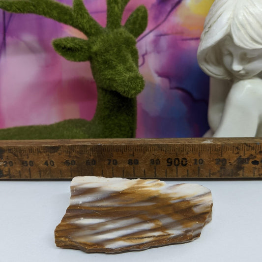 Opalised Petrified Wood Piece