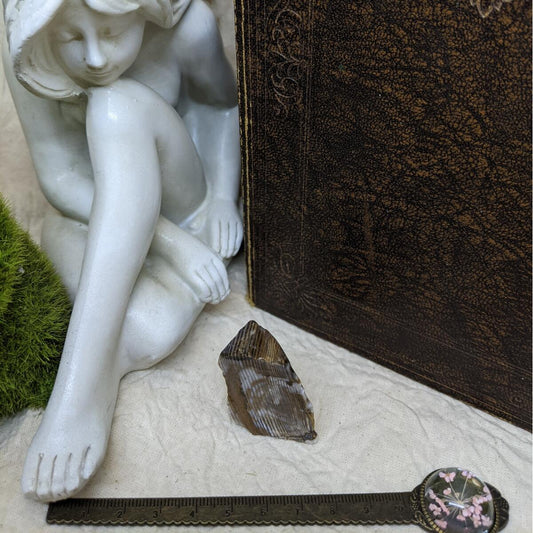 Opalised Wood Chunk