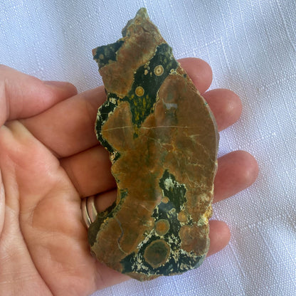 Polished Rhyolite Rainforest Jasper Slice