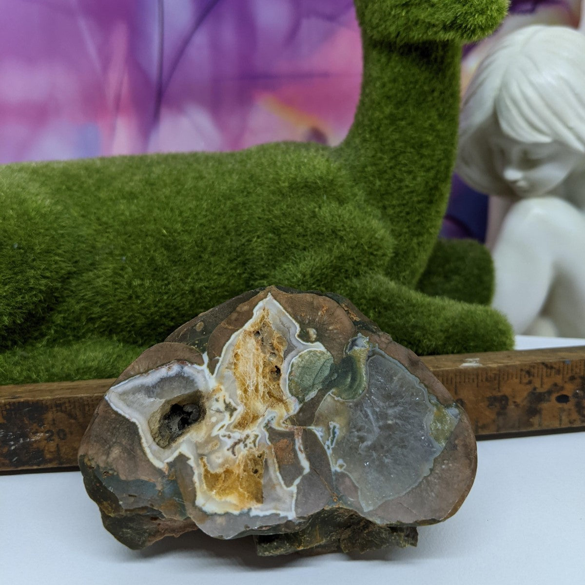 Thunder Egg  Polished Half