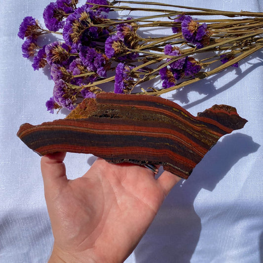 Tiger Iron Slice  Slab