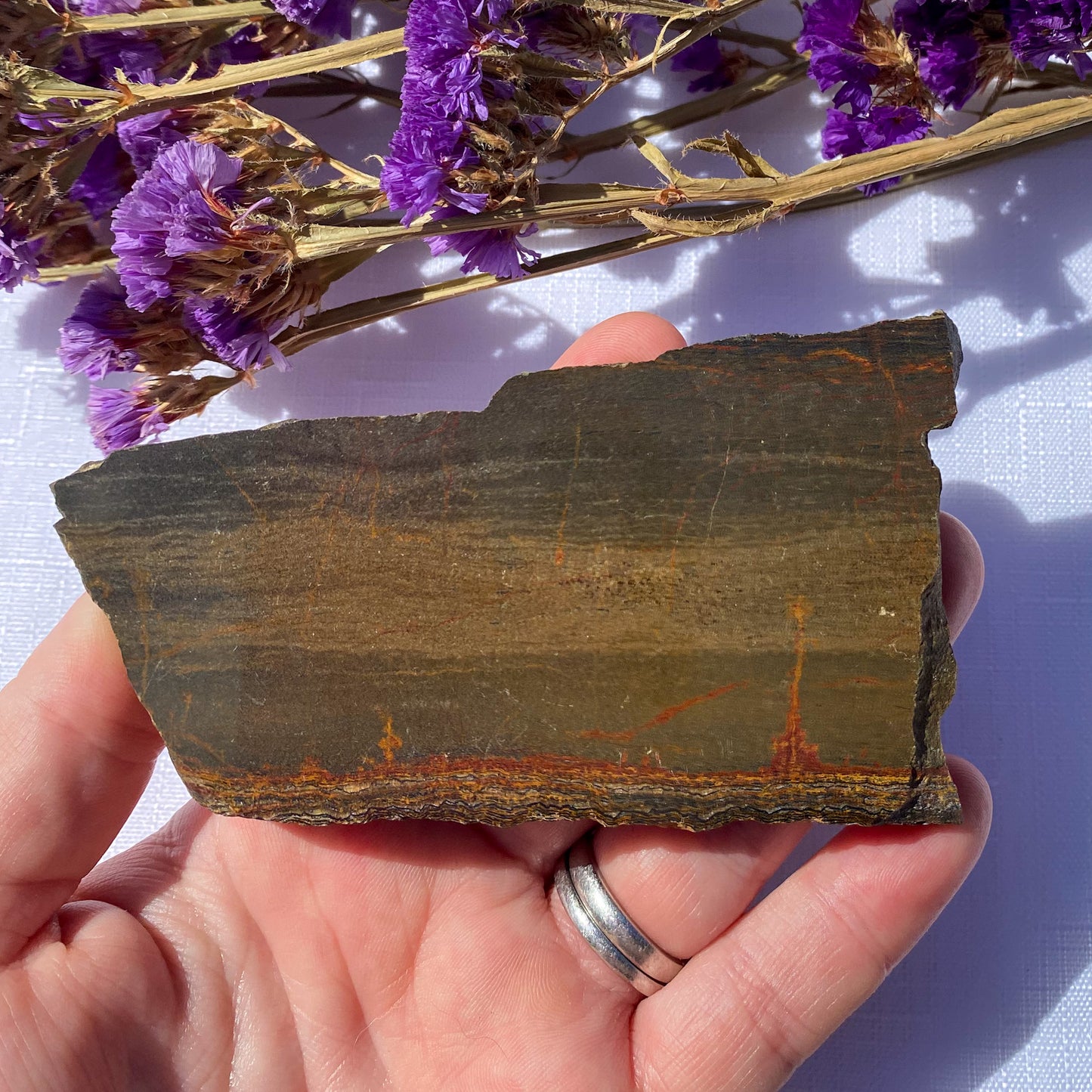 Tiger Iron Slice / Slab