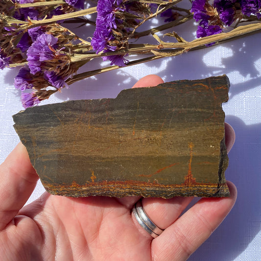 Tiger Iron Slice / Slab