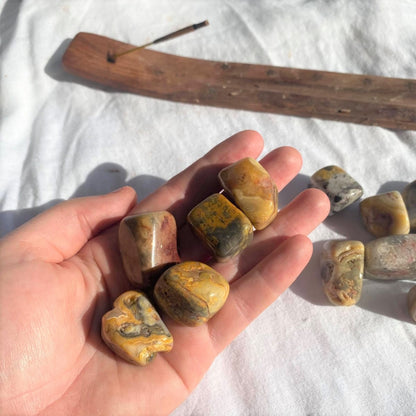 Crazy Lace Agate Tumbled Stones
